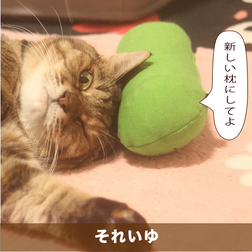 20210508_touko.jpg