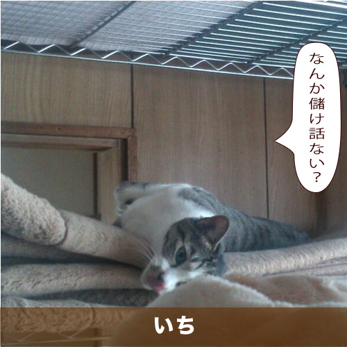 20210509_touko.jpg