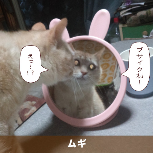20210510_touko.jpg