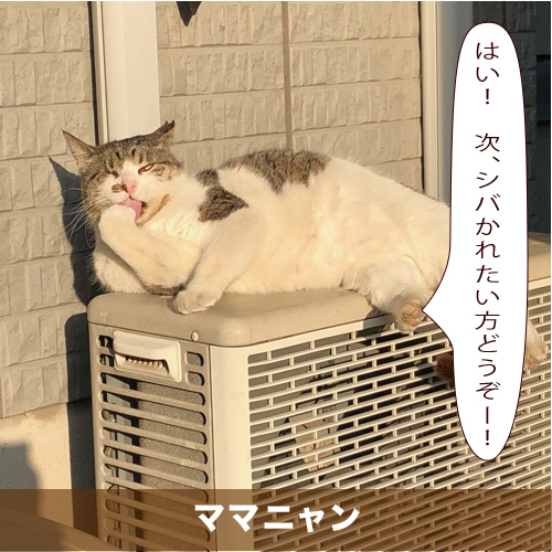 20210511_touko.jpg