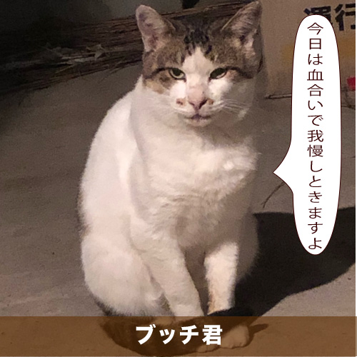 20210513_touko.jpg