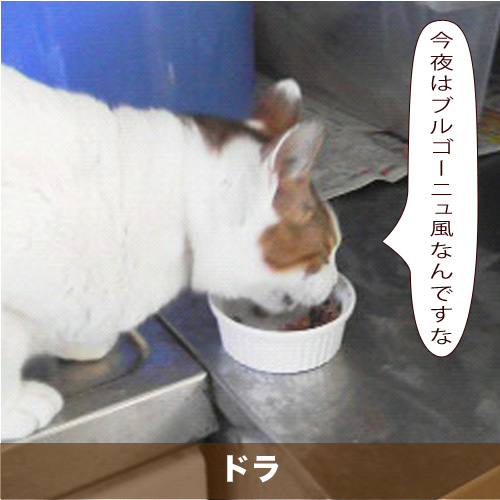 20210514_touko.jpg