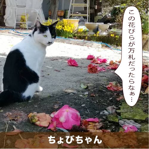 20210515_touko.jpg