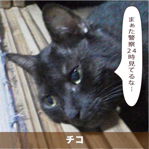 20210516_touko.jpg