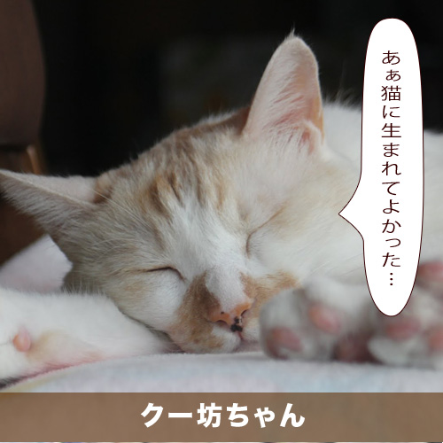 20210517_touko.jpg