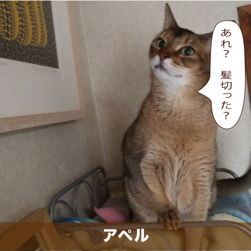20210518_touko.jpg