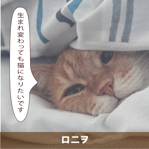 20210519_touko.jpg