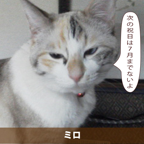 20210520_touko.jpg
