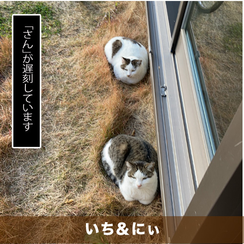 20210521_touko.jpg