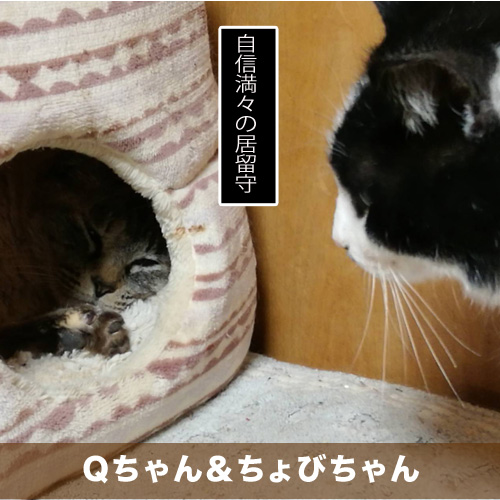 20210522_touko.jpg