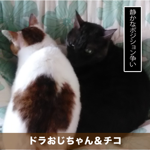 20210525_touko.jpg