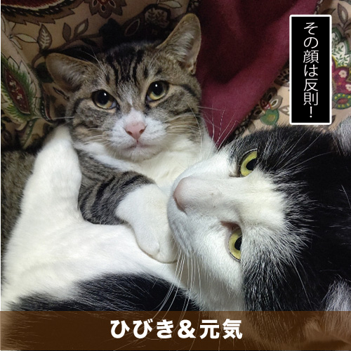 20210526_touko.jpg