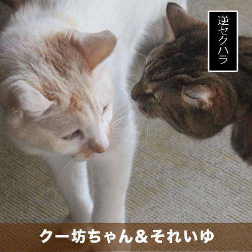 20210527_touko.jpg