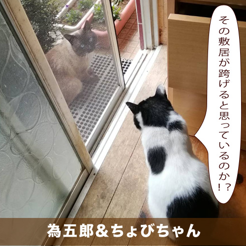 20210528_touko.jpg