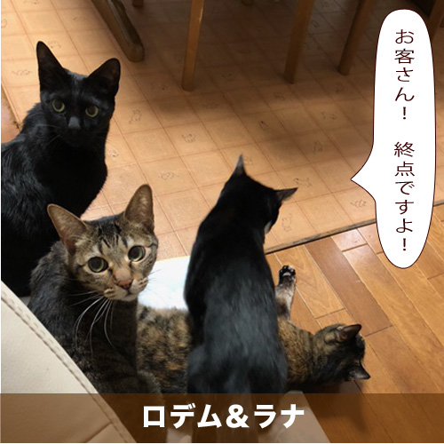 20210531_touko.jpg