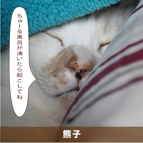 20210602_touko.jpg