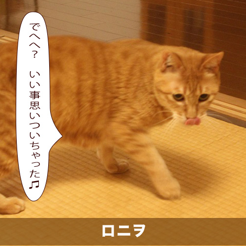 20210607_touko.jpg