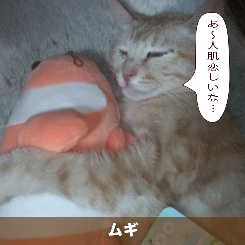 20210608_touko.jpg