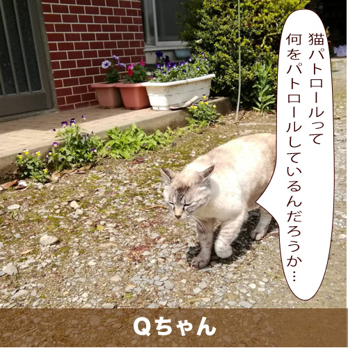 20210609_touko.jpg