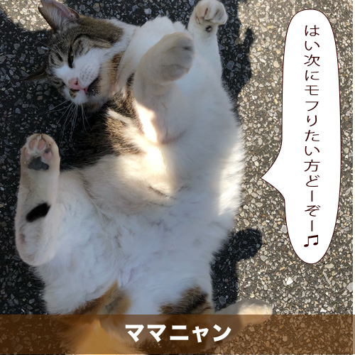 20210611_touko.jpg