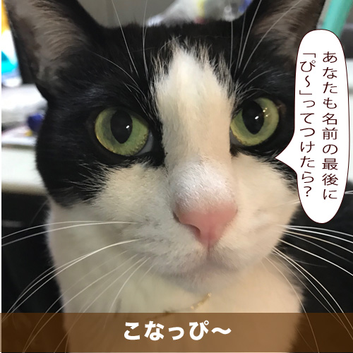 20210614_touko.jpg