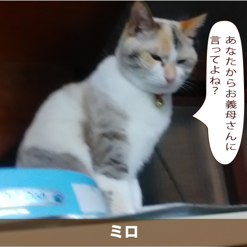 20210615_touko.jpg