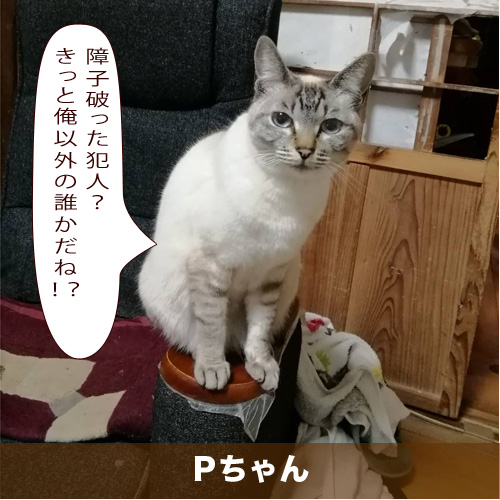 20210617_touko.jpg