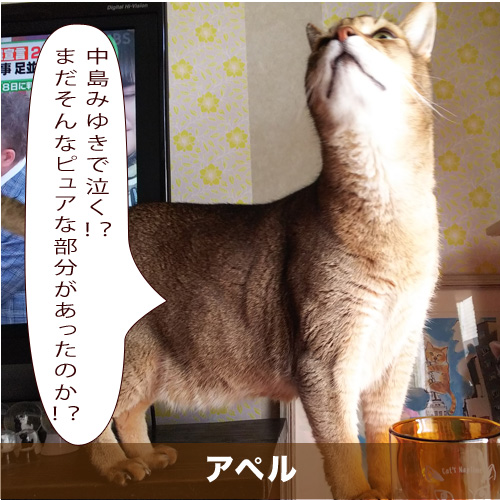 20210618_touko.jpg