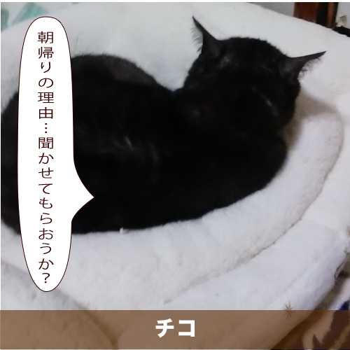 20210620_touko.jpg