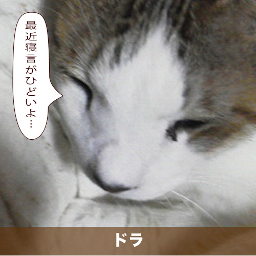 20210621_touko.jpg