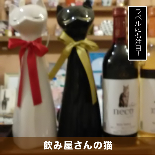 20210623_touko.jpg