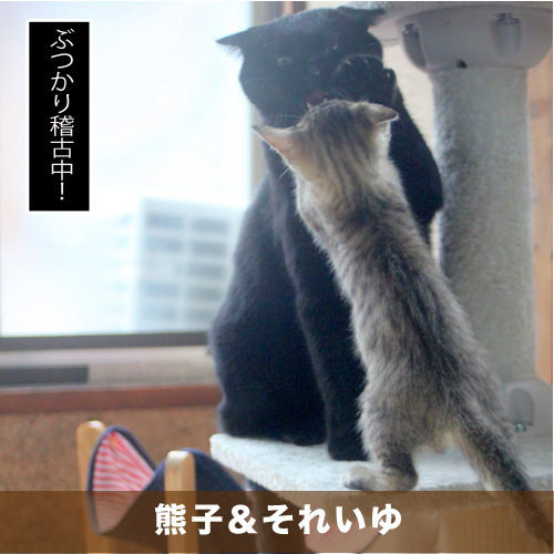 20210624_touko.jpg