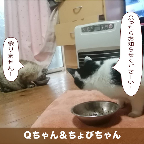 20210625_touko.jpg