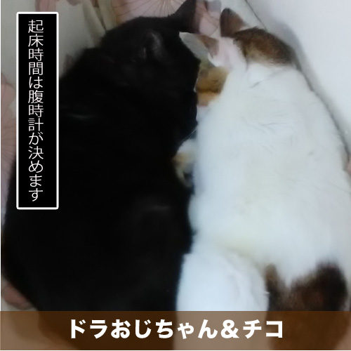 20210630_touko.jpg