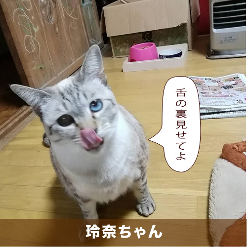 20210701_touko.jpg