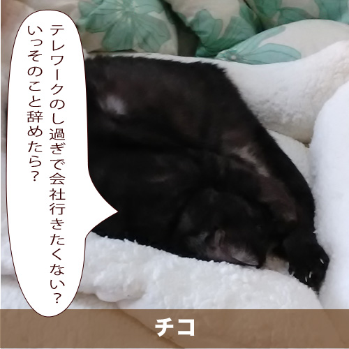 20210704_touko.jpg