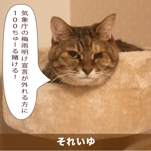 20210705_touko.jpg