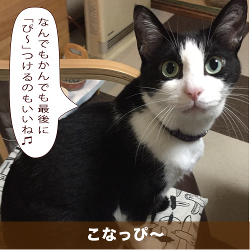 20210706_touko.jpg