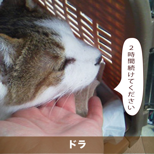 20210708_touko.jpg