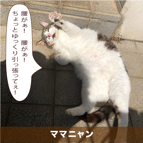 20210711_touko.jpg