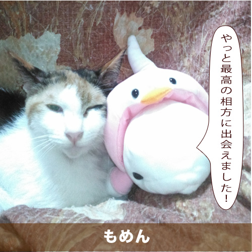 20210715_touko.jpg