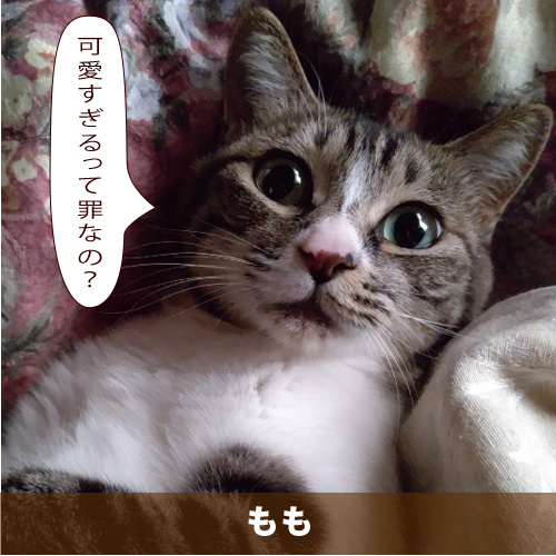 20210716_touko.jpg