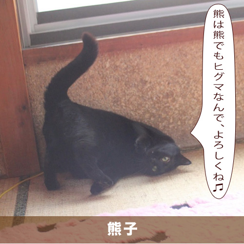 20210721_touko.jpg