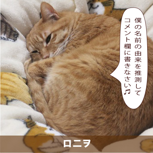 20210724_touko.jpg