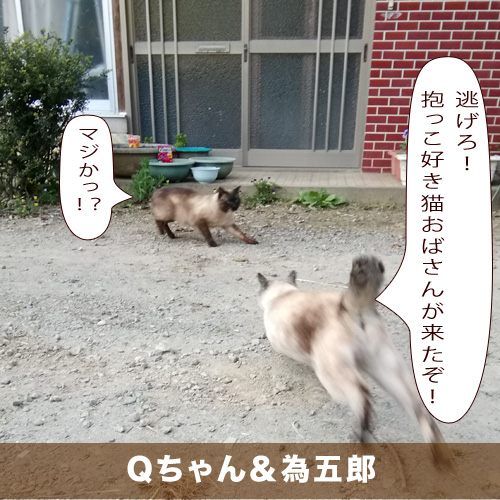 20210729_touko.jpg