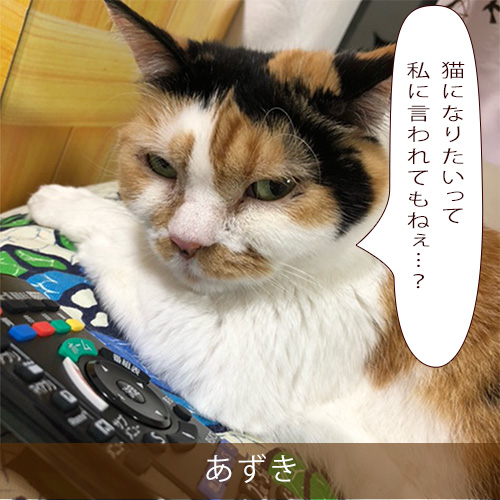 20210803_touko.jpg