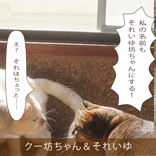 20210805_touko.jpg