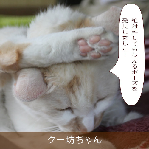 20210806_touko.jpg