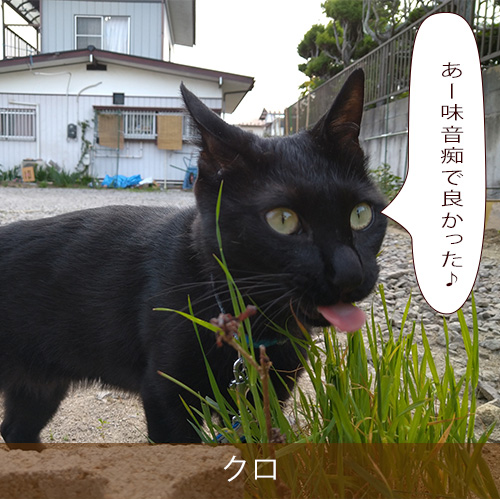 20210807_touko.jpg