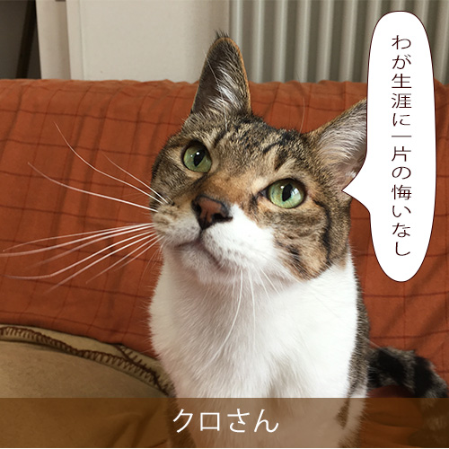 20210808_touko.jpg